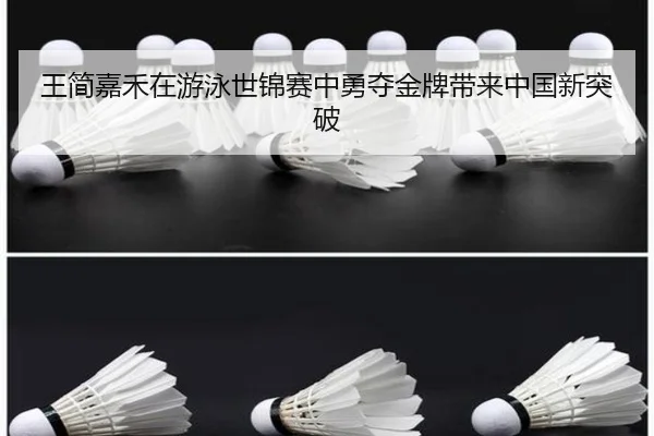 王简嘉禾在游泳世锦赛中勇夺金牌带来中国新突破